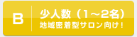 B 少人数（1～2名）地域密着型サロン向け！