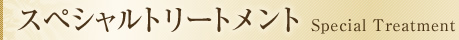 スペシャルトリートメント