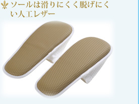 �\�[���͊���ɂ����E���ɂ����l�H���U�[