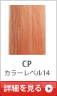 CP �J���[���x��14