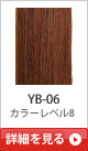 YB-06 �J���[���x��8