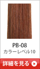 PB-08 �J���[���x��10