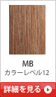 MB �J���[���x��12