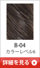 B-04 �J���[���x��6