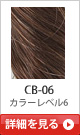 CB-06 �J���[���x��6