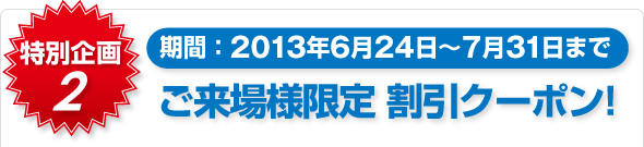 �y���ʊ��z���ԁF2013�N6��24���`7��31���܂�