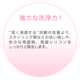 ���͂Ȑ��́I�[���Z������Y�_�̐������A
�X�^�C�����O�܂Ȃǂ̐􂢎c����A�]���Ȏc�����A�c���V���R������������Ə������܂��B