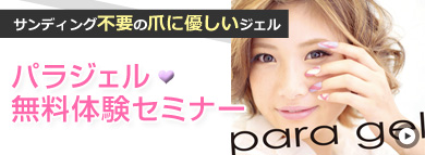 �p���W�F�������̌��Z�~�i�[