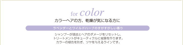 for color�F �J���[�w�A�̕��A�������C�ɂȂ����