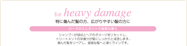 for heavy damage�F ���ɒɂ񂾔��̕��A�L����₷�����̕���