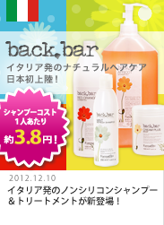 『省電力＆高性能な遠赤プロセッサーSwing Belle』省電力＆高性能な遠赤プロセッサー「スイングベル」送料込で￥99,800！