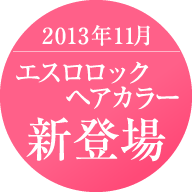 2013�N11���G�X�����b�N�w�A�J���[�V�o��