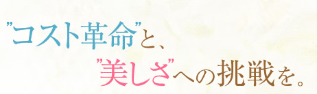 '�R�X�g�v��'��'������'�ւ̒�����B