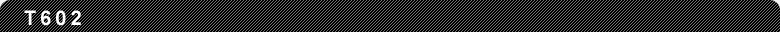 T602
